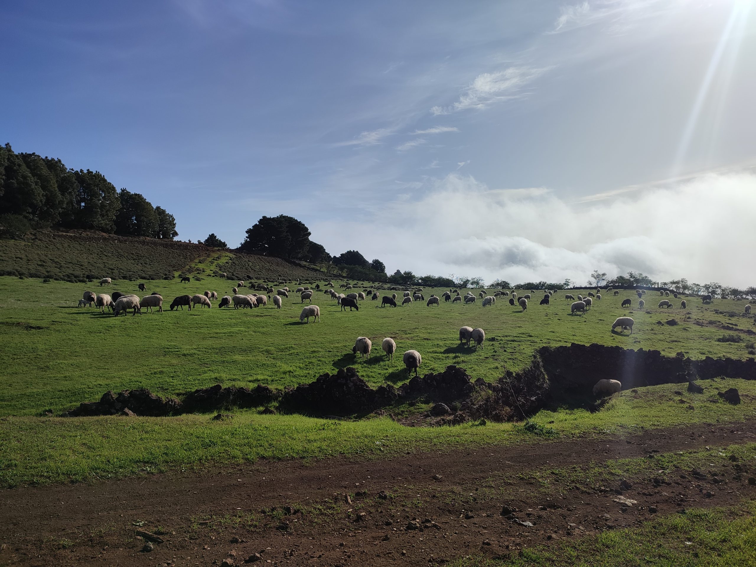 Cinco queserías pertenecientes a FECROVICAN logran seis medallas en los World Cheese Awards 2025